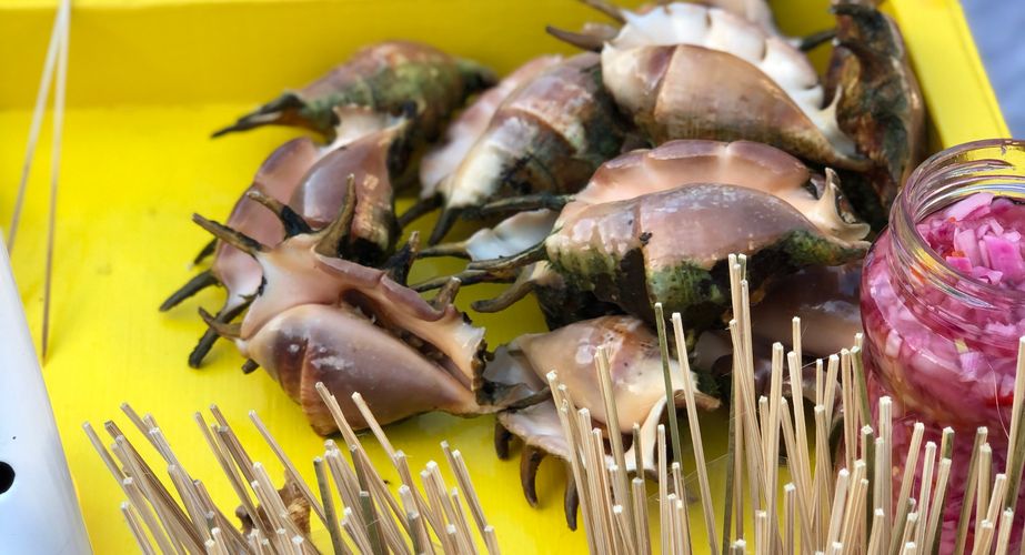 Cebu_PH_City Tour_2026_4